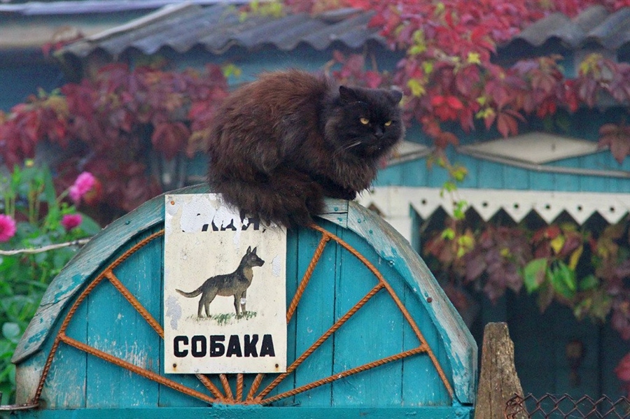 Фото жизнь