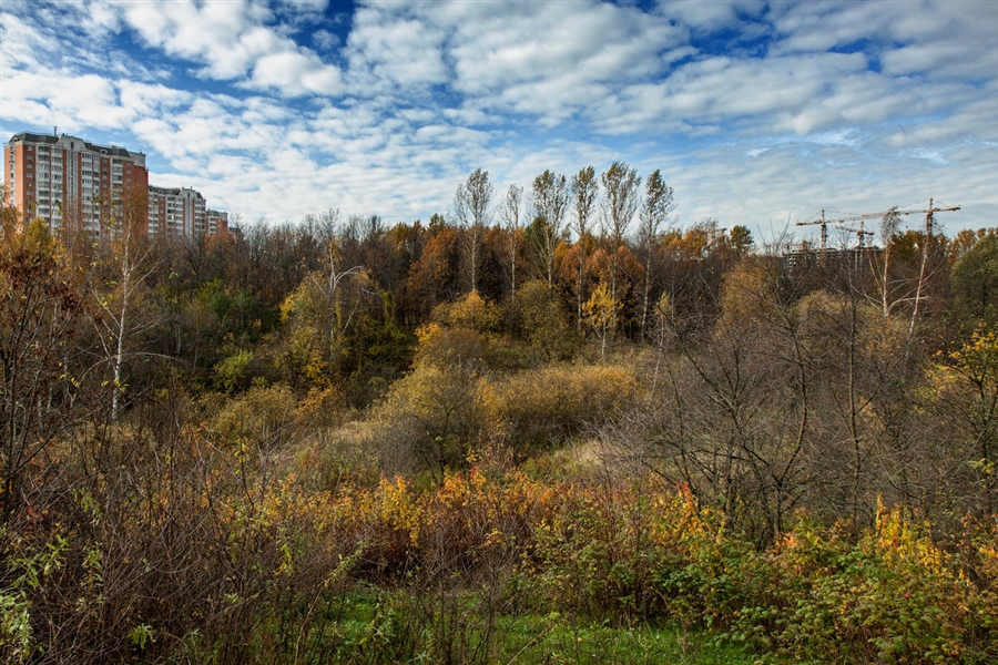 Фото жизнь