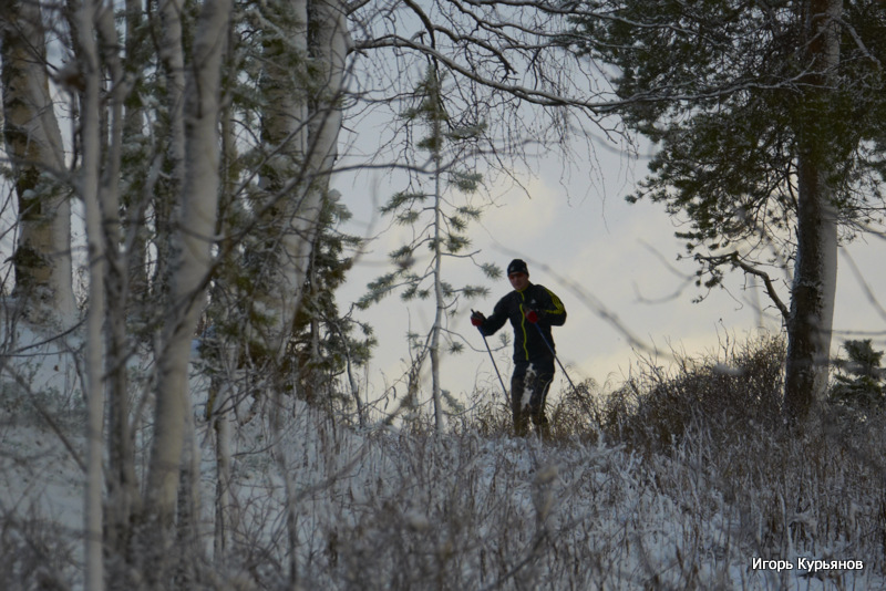 Фото жизнь (light) - Игорь Курьянов - корневой каталог - Первый лыжник
