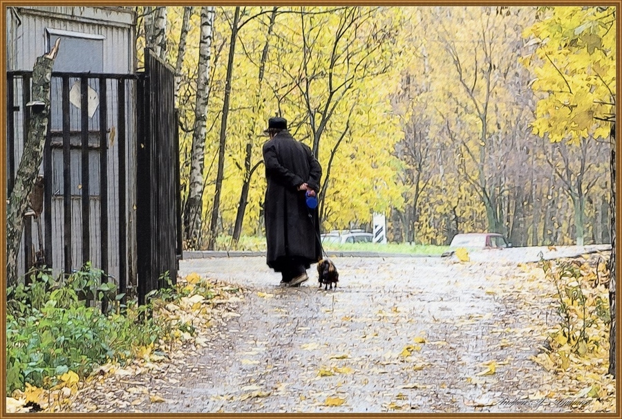 Фото жизнь