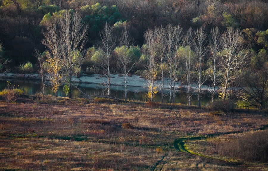 Фото жизнь