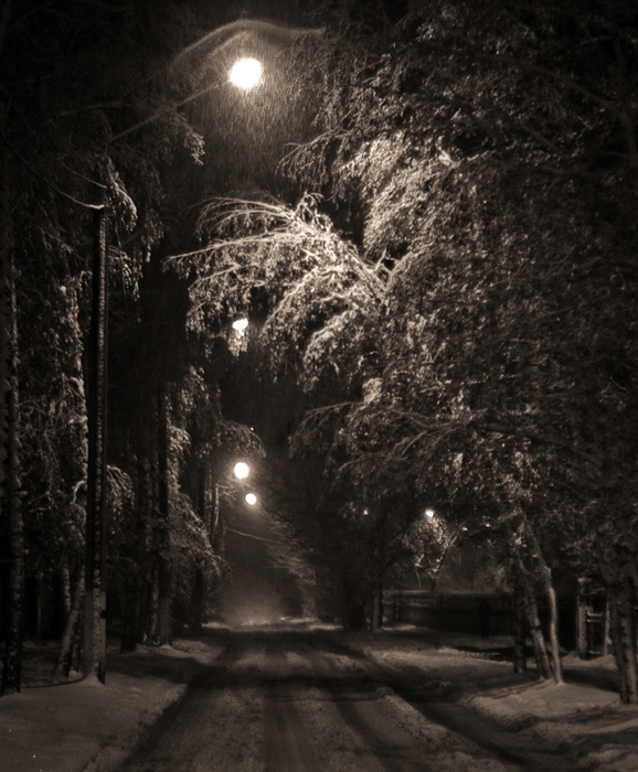 Фото жизнь