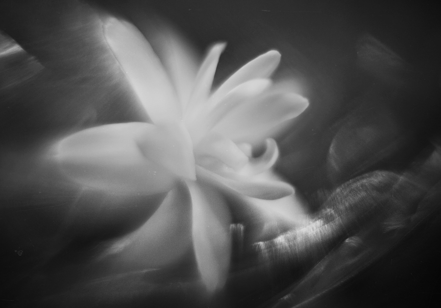 Фото жизнь (light) - ASe_me - *чёрно-белый цвет* - .