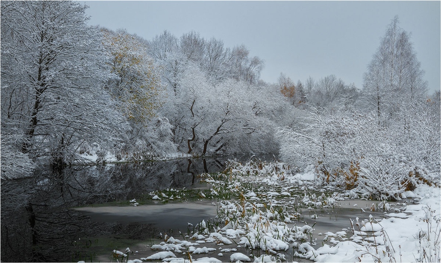 Фото жизнь