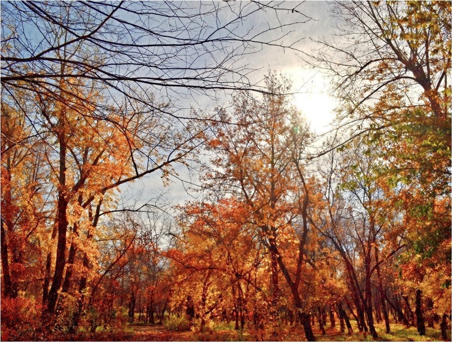 Фото жизнь