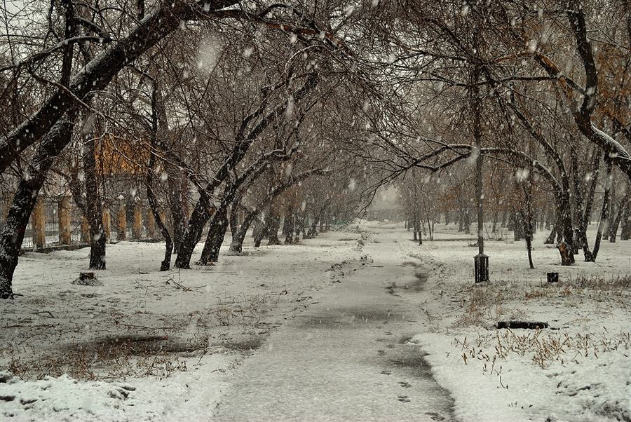 Фото жизнь