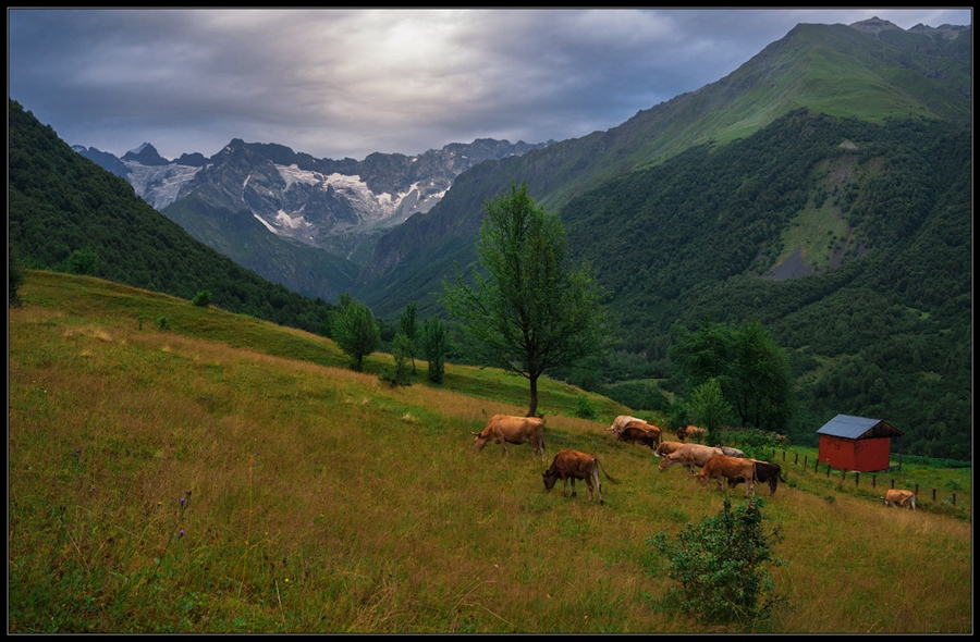 Фото жизнь