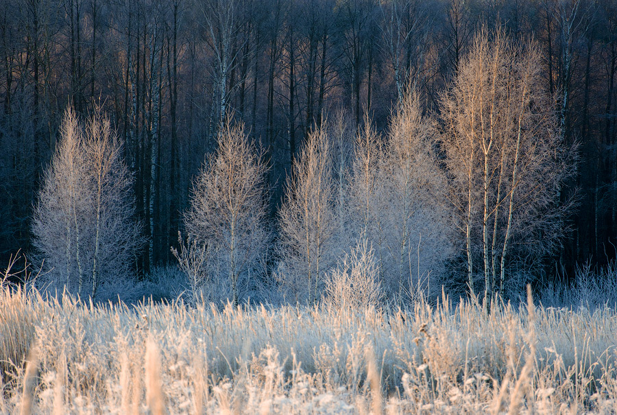 Фото жизнь (light) - Октай Гусейнов - корневой каталог - Утренние заморозки