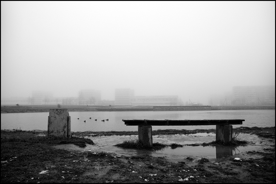 Фото жизнь (light) - Александр Гришаев - птицы и камни - присаживайся Бри рядом ... послушаем вместе музыку ...