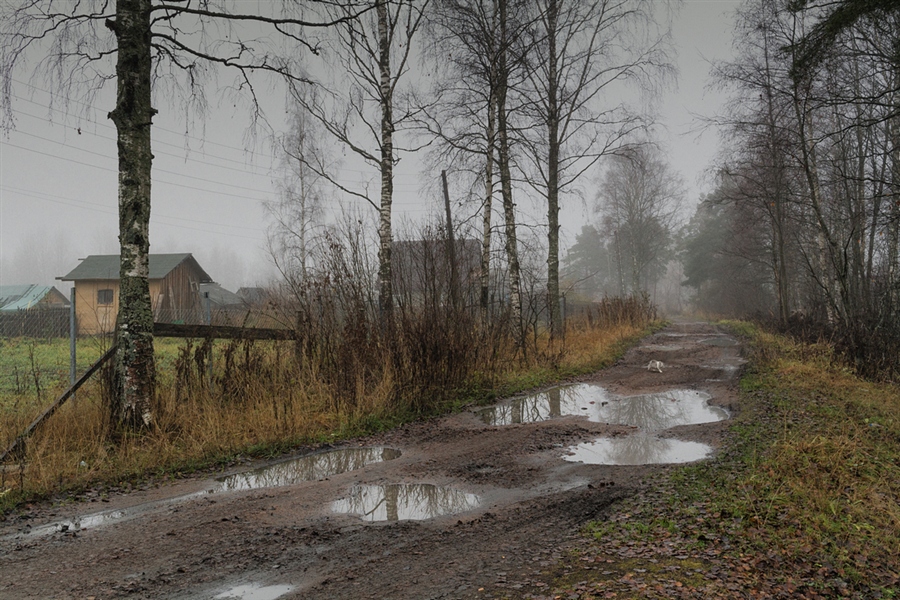 Фото жизнь
