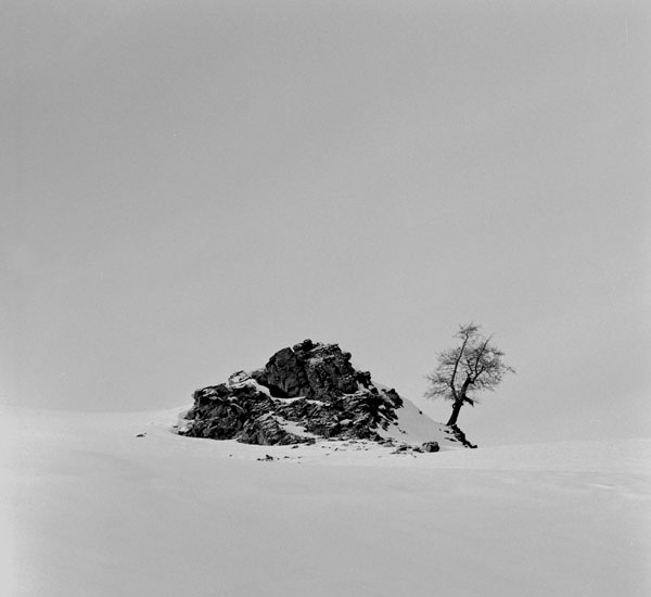 Фото жизнь (light) - xincheng - 4x5 wista - ----