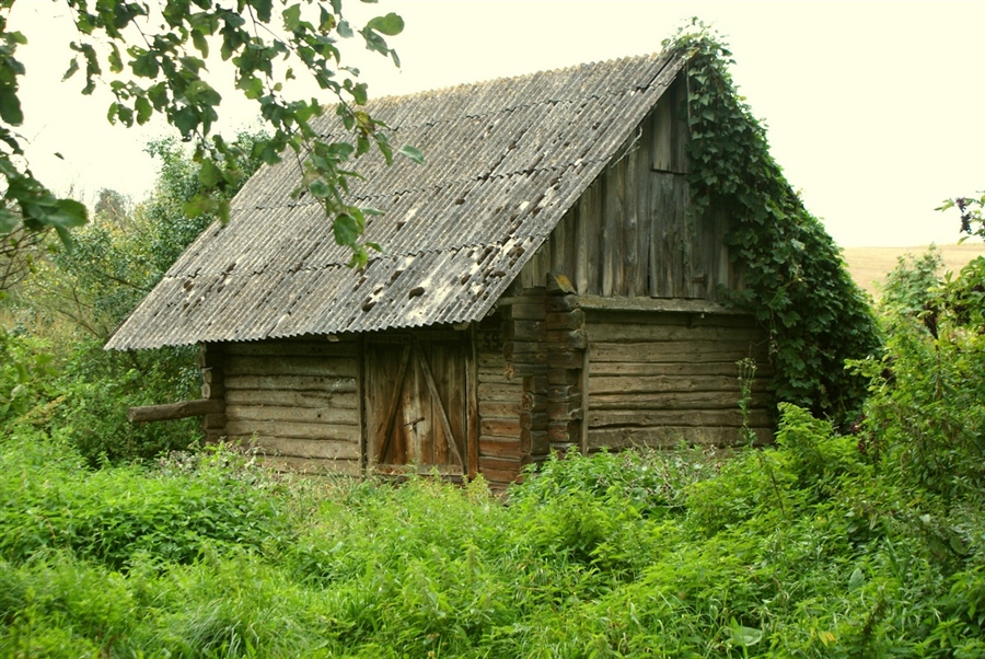 Фото жизнь