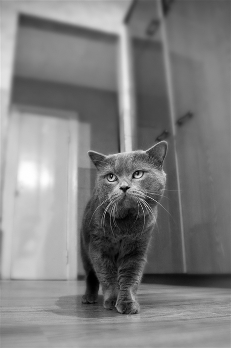 Фото жизнь