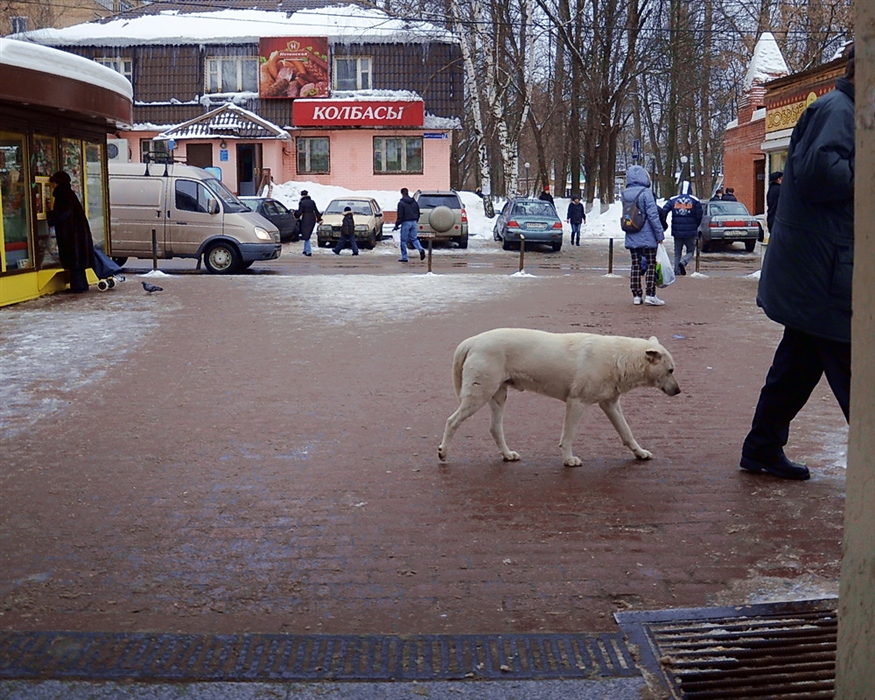 Фото жизнь