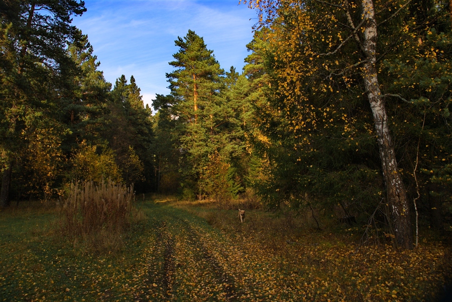 Фото жизнь