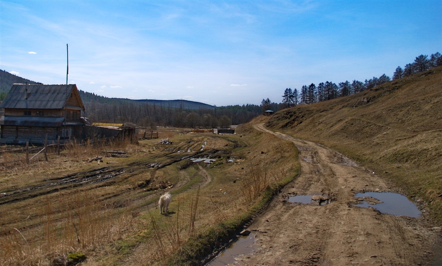 Фото жизнь