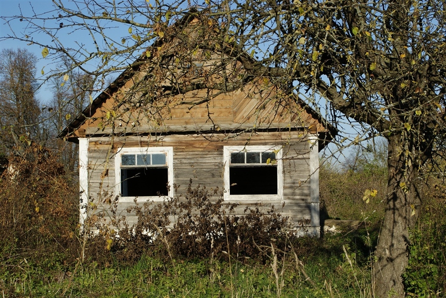 Фото жизнь