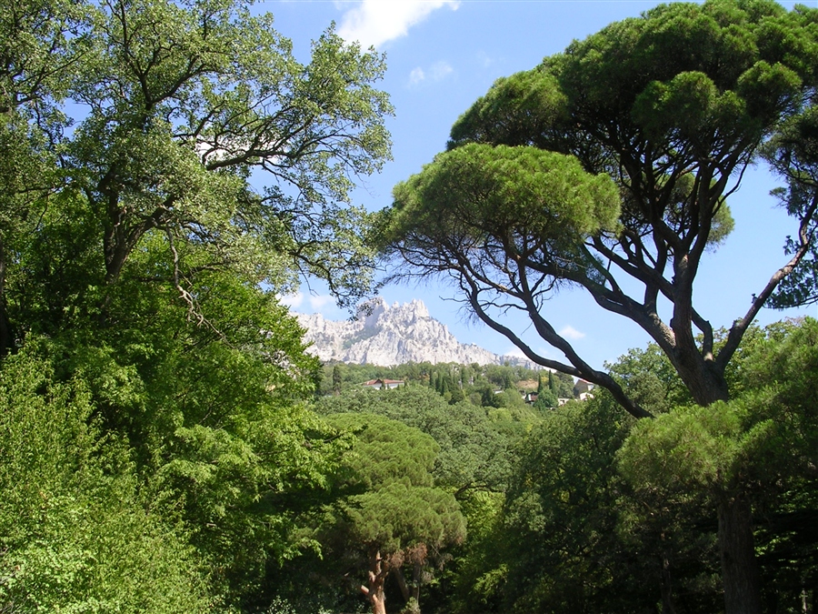 Далекая Скала