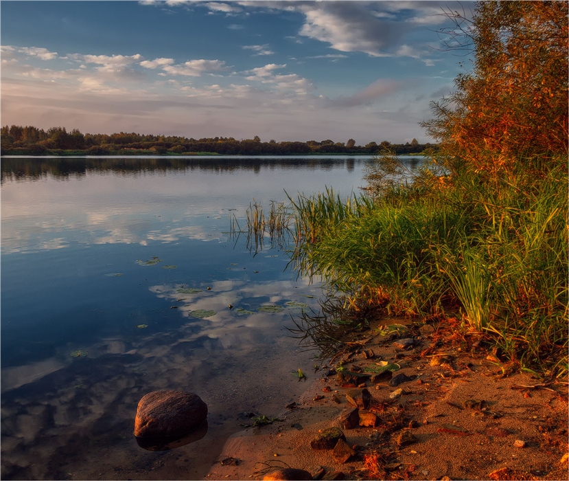 Фото жизнь