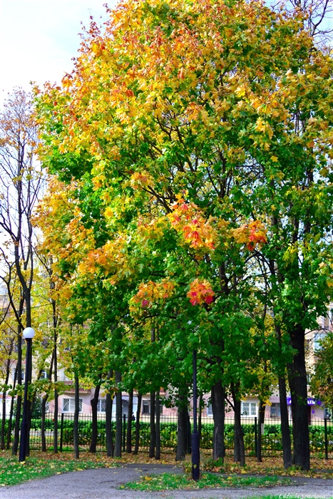 Фото жизнь