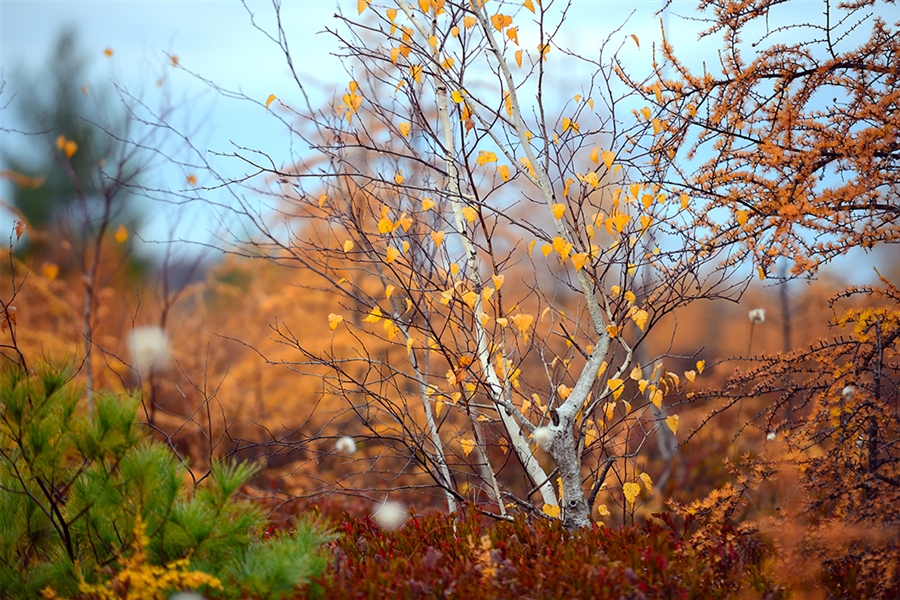 Фото жизнь