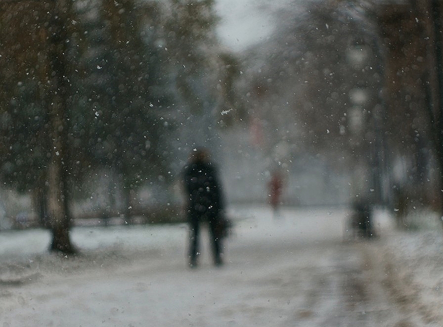 Фото жизнь (light) - Владимир Сергиенко - корневой каталог - ...снег, снег, снег...