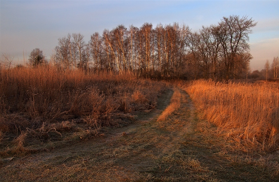 Фото жизнь