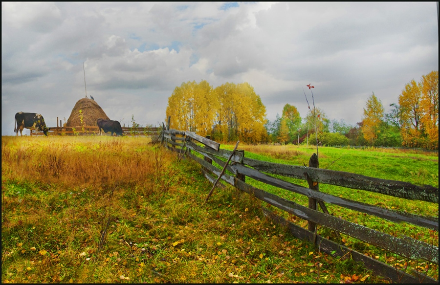 Фото жизнь