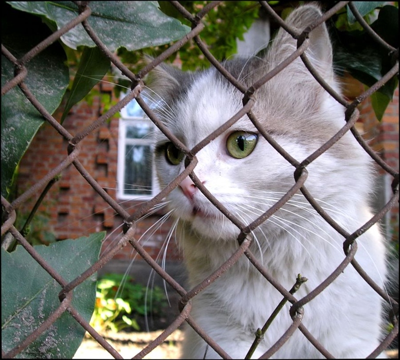 Фото жизнь