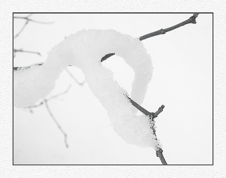 Фото жизнь (light) - D