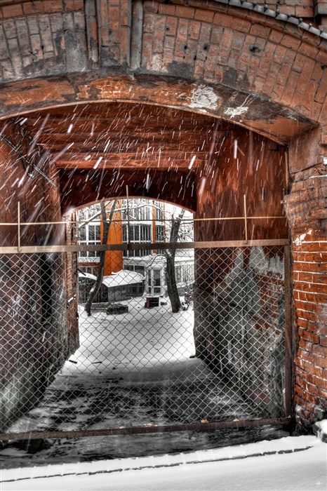 Фото жизнь