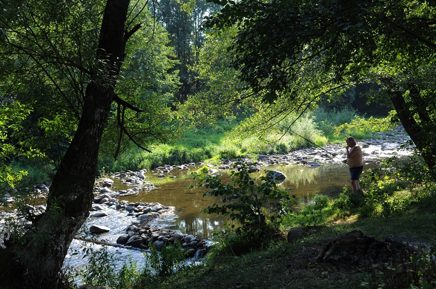 Фото жизнь