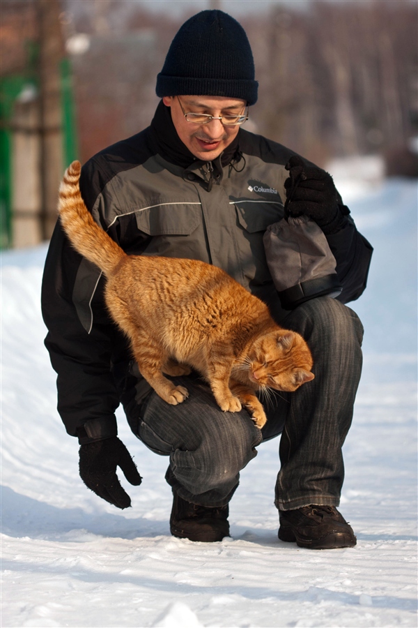 поговорим о кошках