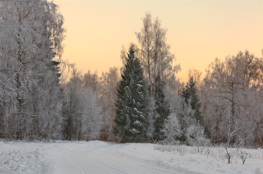 Фото жизнь