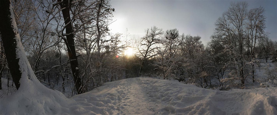 Фото жизнь