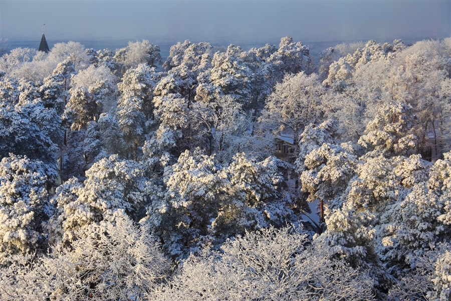 Фото жизнь