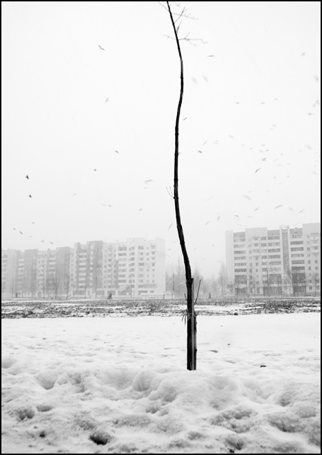 Фото жизнь (light) - Александр Гришаев - Полеты во сне и наяву - 89