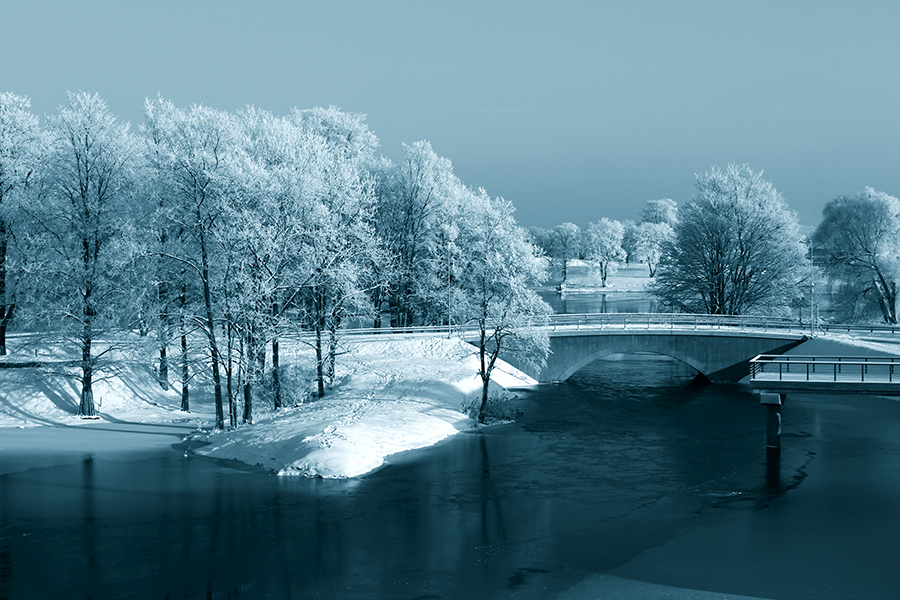 Фото жизнь (light) - Дима Шин - корневой каталог - зима настала...