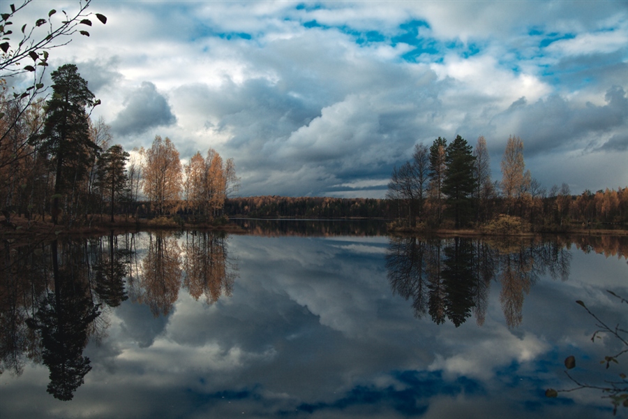 Фото жизнь