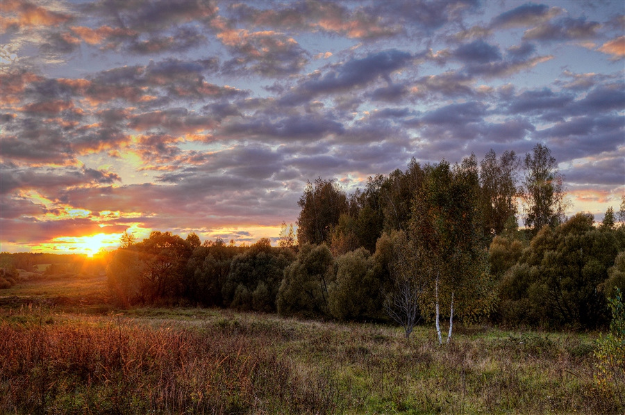 Фото жизнь