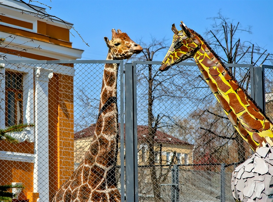 Фото жизнь