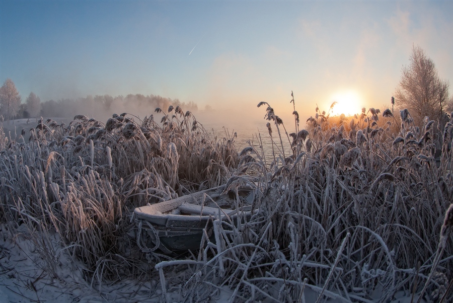 Фото жизнь