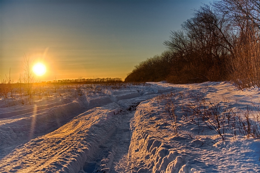 Фото жизнь