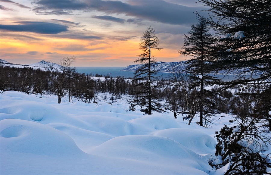 Фото жизнь