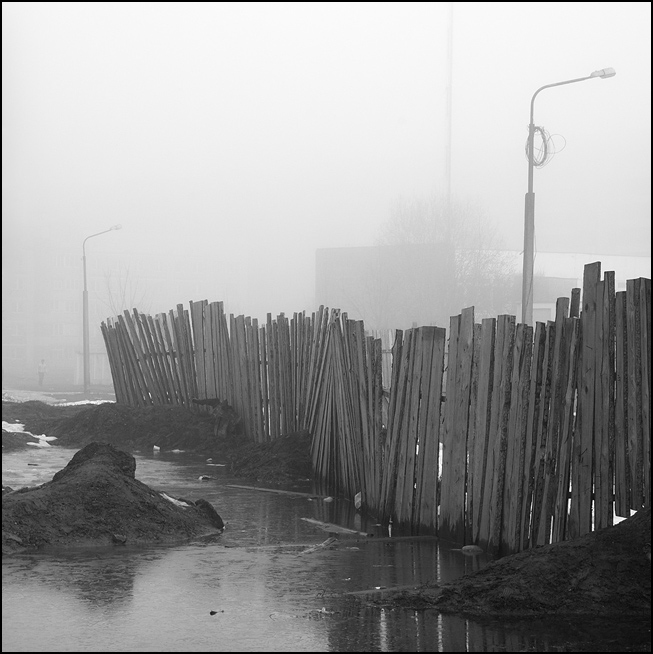 Фото жизнь (light) - Александр Гришаев - птицы и камни - ...