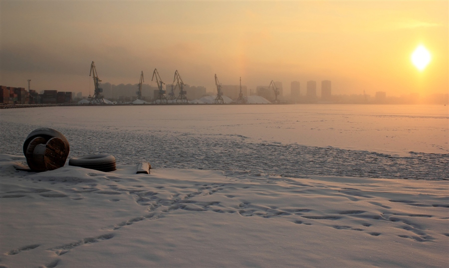 Фото жизнь