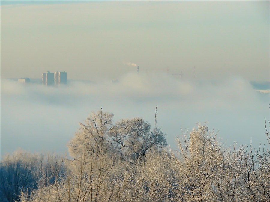 Фото жизнь