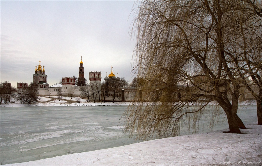 Фото жизнь