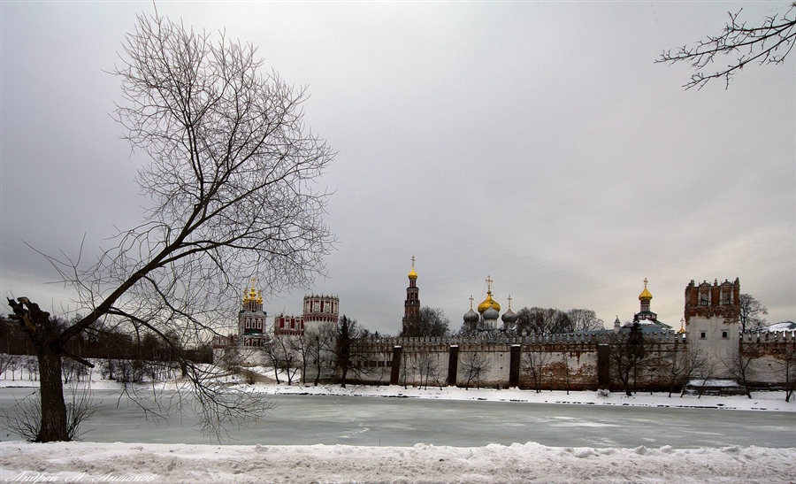 Фото жизнь