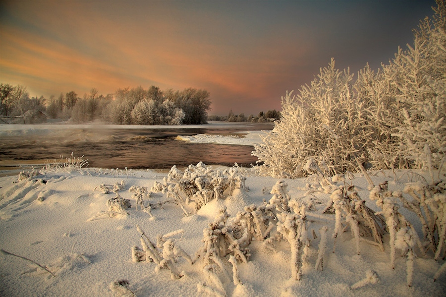 Фото жизнь